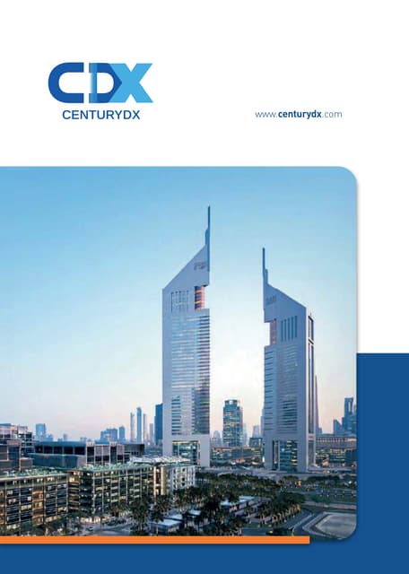 CenturyDX-IT-Company