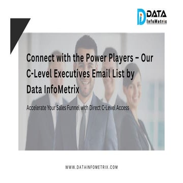 Direct Access to Global CEOs – Data InfoMetrix CEO Email List
