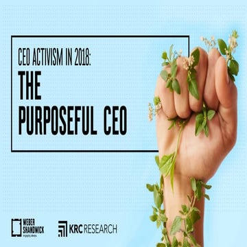 CEO Activism in 2018: The Purposeful CEO