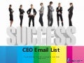 CEO Email List