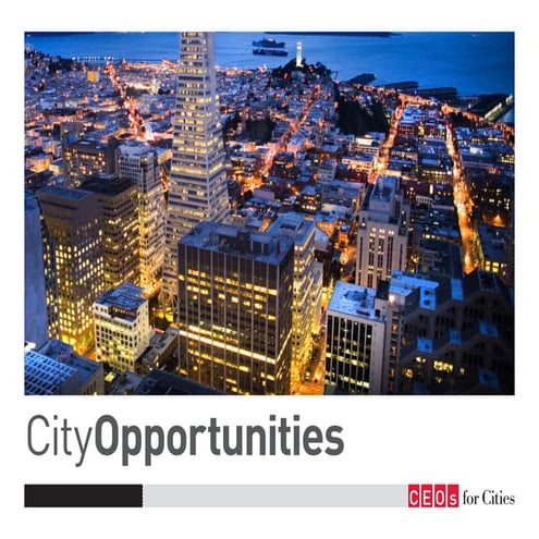 CEOs for Cities - CityOpportunities