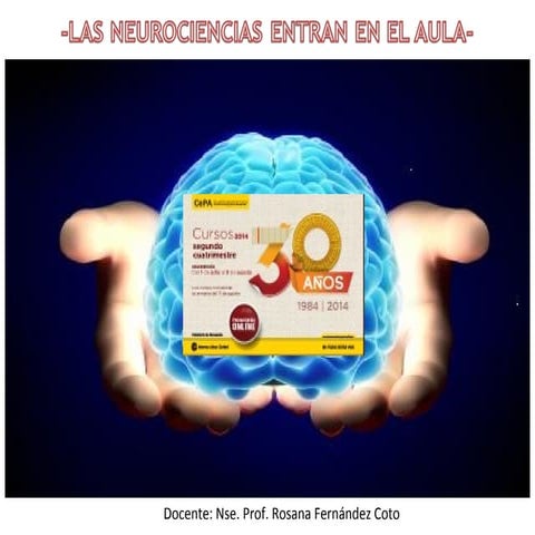 Las neurociencias entran en el aula - Encuentro presencial