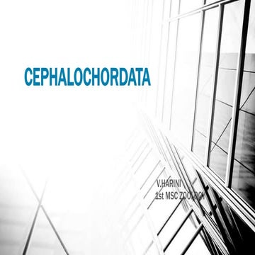 Cephalochordata