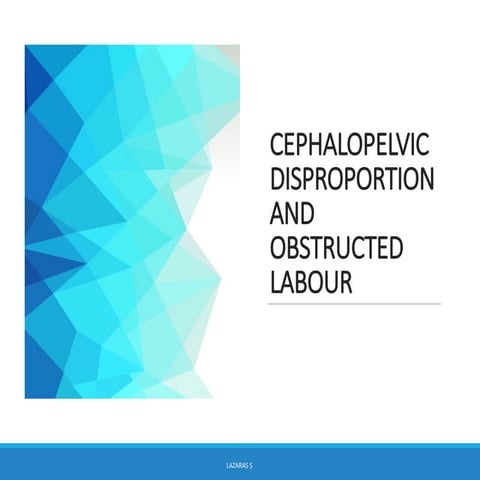 Comprehensive Overview of Cephalopelvic Disproportion and Obstructed ...