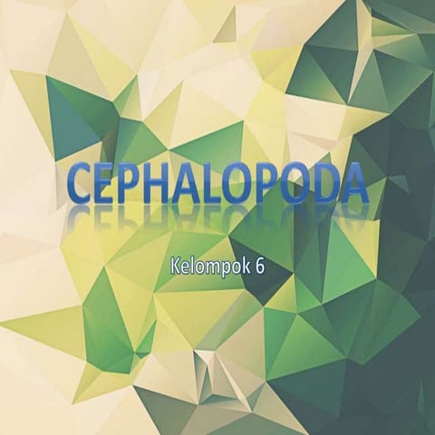 Cephalopoda