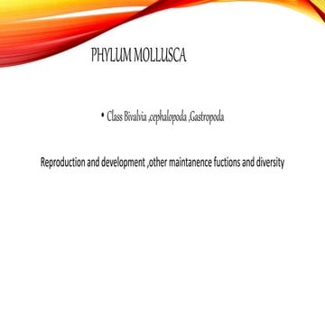                   Class Bivalvia  ,  cephalopoda  ,  Gastropoda