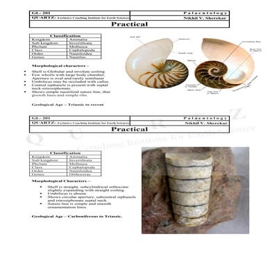 Cephalopods (Palaentology Practical B.Sc Geology)