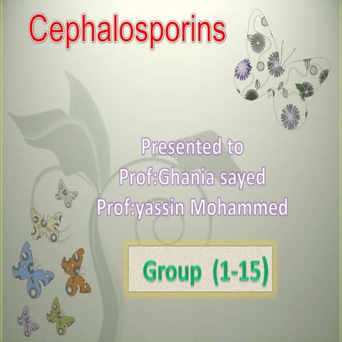 Cephalosporins antibiotics