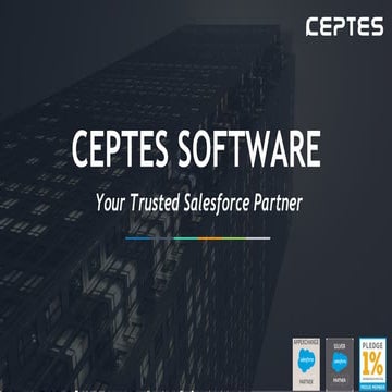 CEPTES - Your Trusted Salesforce Partner 