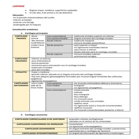 Apunte de Laringe según el libro Latarjet