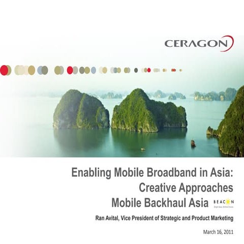 Ceragon Networks: Enabling Mobile Broadband in Asia - Creative Approaches