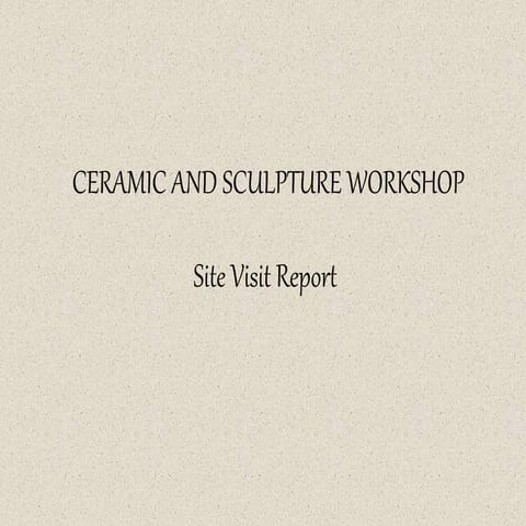  CERAMIC AND SCULPTURE WORKSHOPSite Visit Report