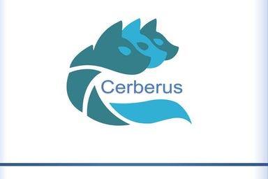 Cerberus Testing