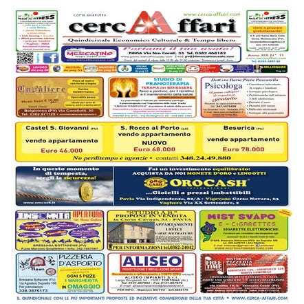 cercAAffari edizione n. 11 anno 2013