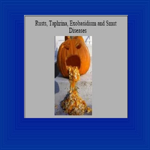 Fungi are the most common cause of cereal diseases. These pathogens can infec...