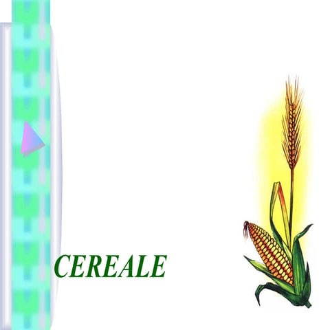 Cerealele