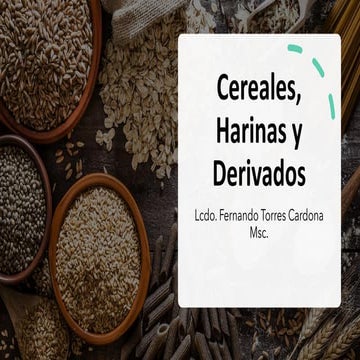 Los cereales enteros y sus derivadosCereales, Harinas y Derivados.pdf