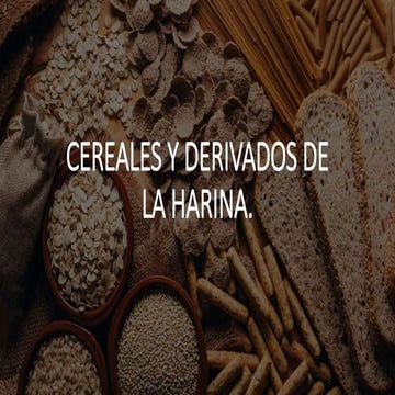 CEREALES_Y_DERIVADOS_DE_LA_HARINA[1].pptx