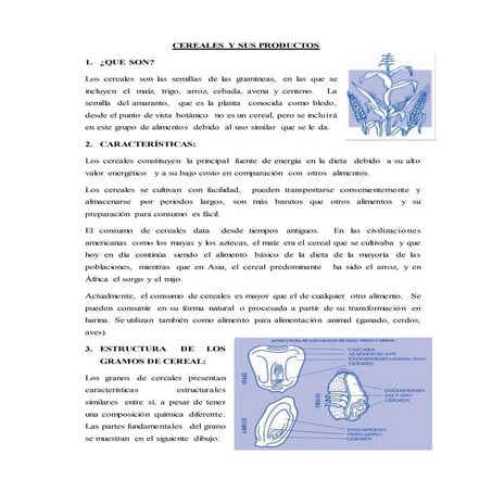 Cereales y sus productos