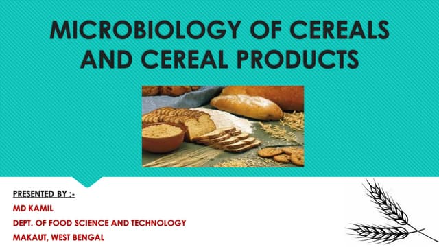Microbiology Of Cereals And Cereal Products 