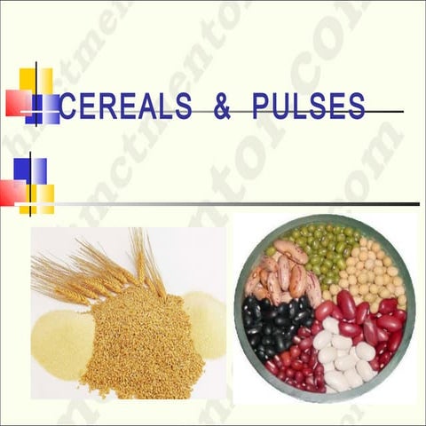 Cereals & pulses