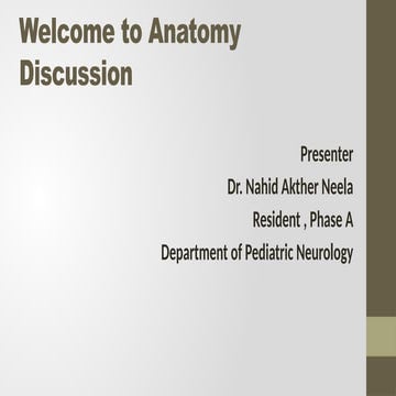 Comprehensive Overview of Cerebellum Anatomy, Function, and Clinical ...