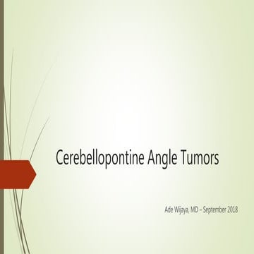 Cerebellopontine Angle Tumors 