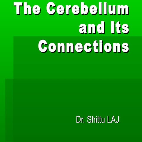 Cerebellum 1