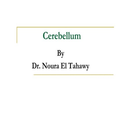 Cerebellum