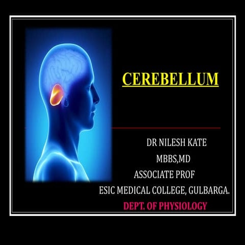 Cerebellum ppt