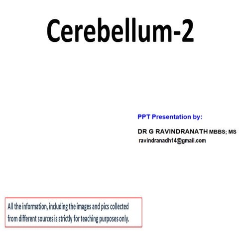 Anatomy of Cerebellum(Part- 2)