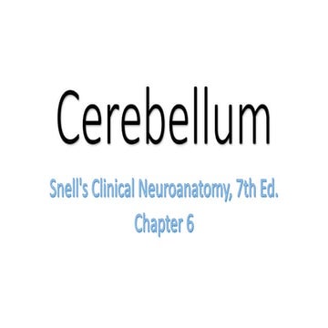 Neuroanatomy: Cerebellum