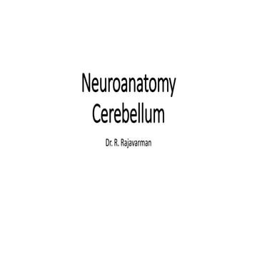 Cerebellum.pptx