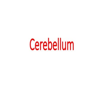 Cerebellum.pptxbbbbbbbbbbbbbbbhuhhhggghh