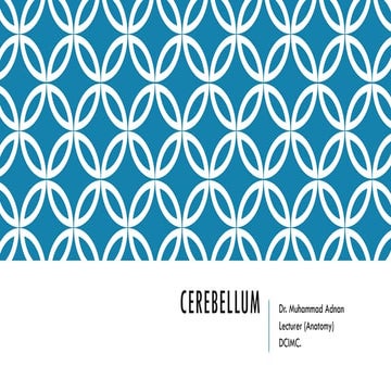 Snatomy and histology of cerebellum and more