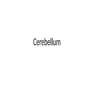 Cerebellum Anatomy and its function.pptx