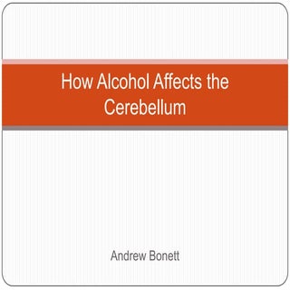 Cerebellum And Alcohol