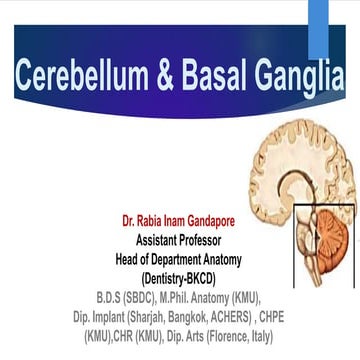Cerebellum, and Basal Ganglia by Dr. Rabia Inam Gandapore.pptx