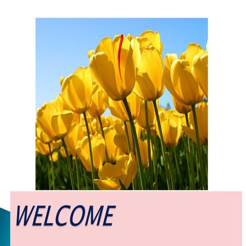 The Cerebellum and its various connection.ppt