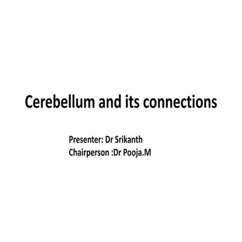 Cerebellum and its connections 