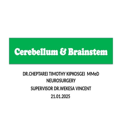 Cerebellum & Brainstem by Dr.Timothy Cheptarei.pptx
