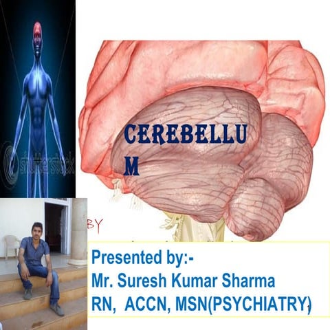 Cerebellum by suresh aadi8888