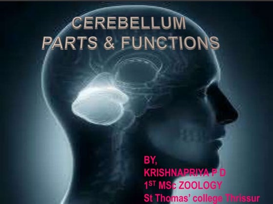 Histology of cerebrum and cerebellum | PDF