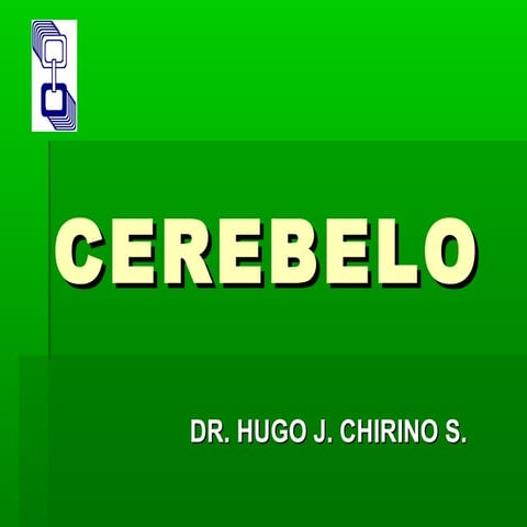 Cerebelo
