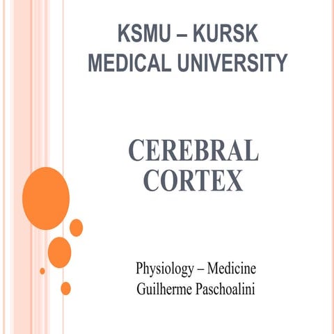 Cerebral cortex - physiology