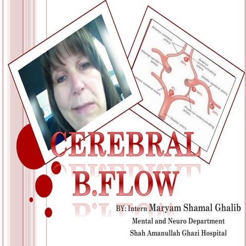 Cerebral blood flow | PDF