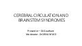Cerebral circulation and brain stem syndromes
