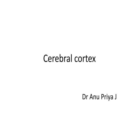 Cerebral cortex