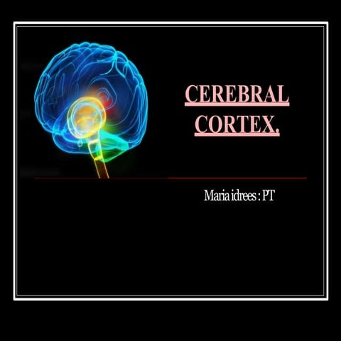 Cerebral cortex