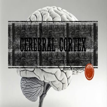 Comprehensive Overview of the Cerebral Cortex: Structure, Function, and ...